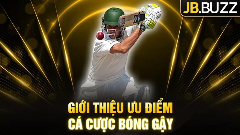 Giới thiệu ưu điểm cá cược bóng gậy tại JB