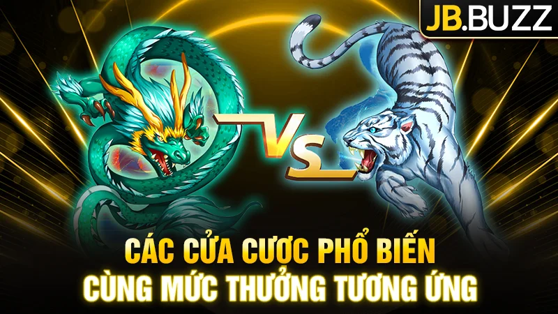 Các cửa cược phổ biến cùng mức thưởng tương ứng