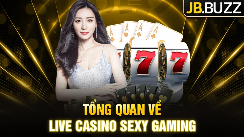 Giới thiệu tổng quan về nhà cung cấp Live Casino Sexy Gaming