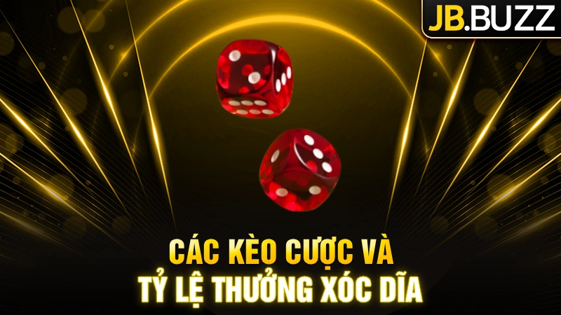 Các kèo cược và tỷ lệ thưởng xóc dĩa